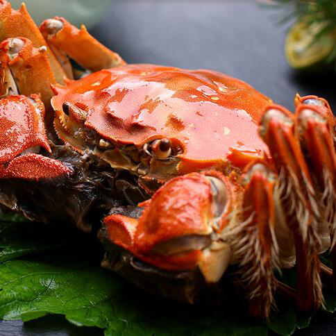 兴化大闸蟹入选江苏省首批特色农产品优势区名单