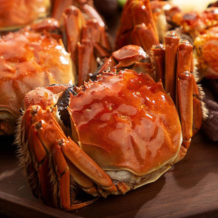 大闸蟹的内部构造及各大生理系统是怎样的?